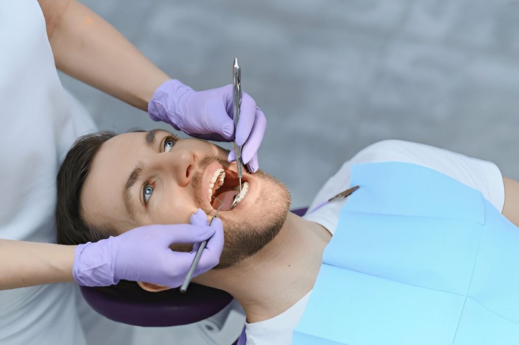 general dentistry in palm harbor, fl
