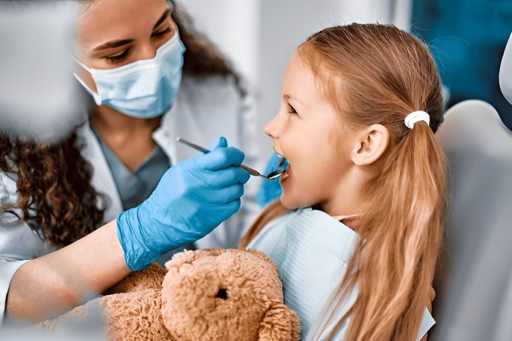 childrens dentistry in palm harbor, fl