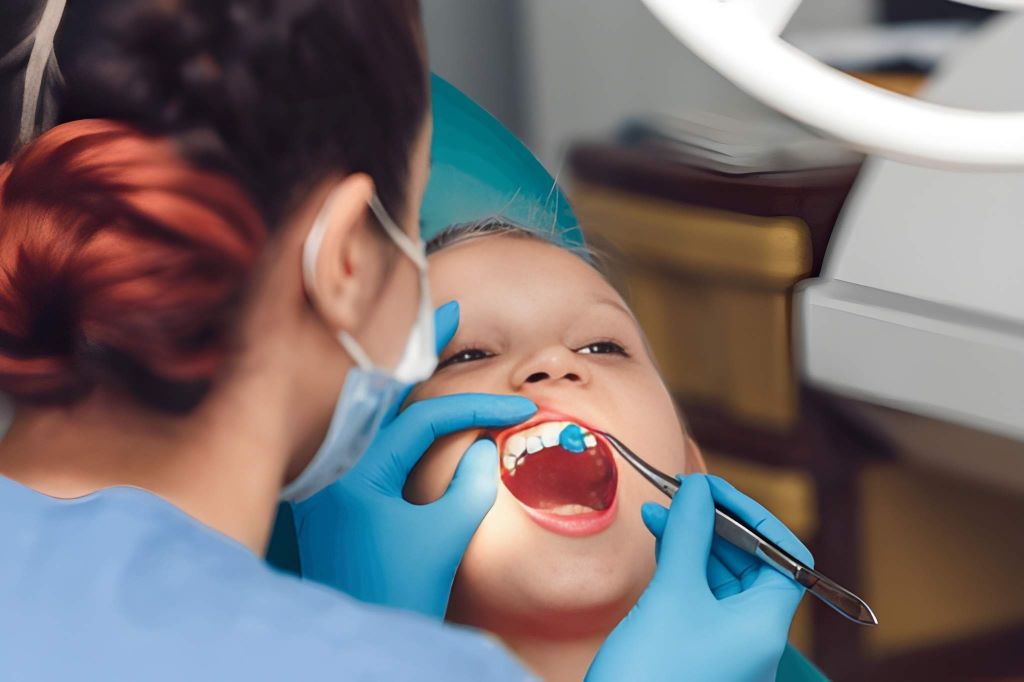 fluoride treatment in palm harbor, fl