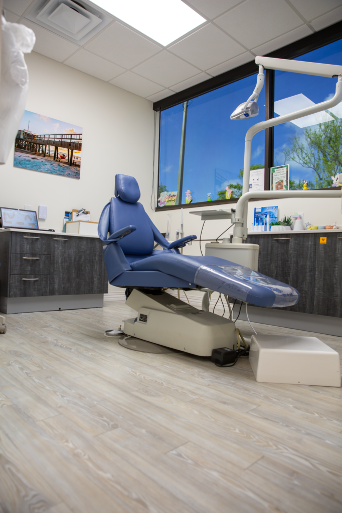 dentist near me in palm harbor